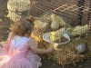IMG_0611